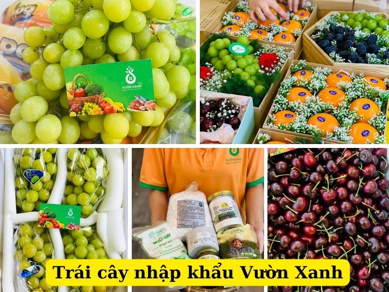 Vườn Xanh - Chuyên cung cấp sỉ và lẻ trái cây nhập khẩu